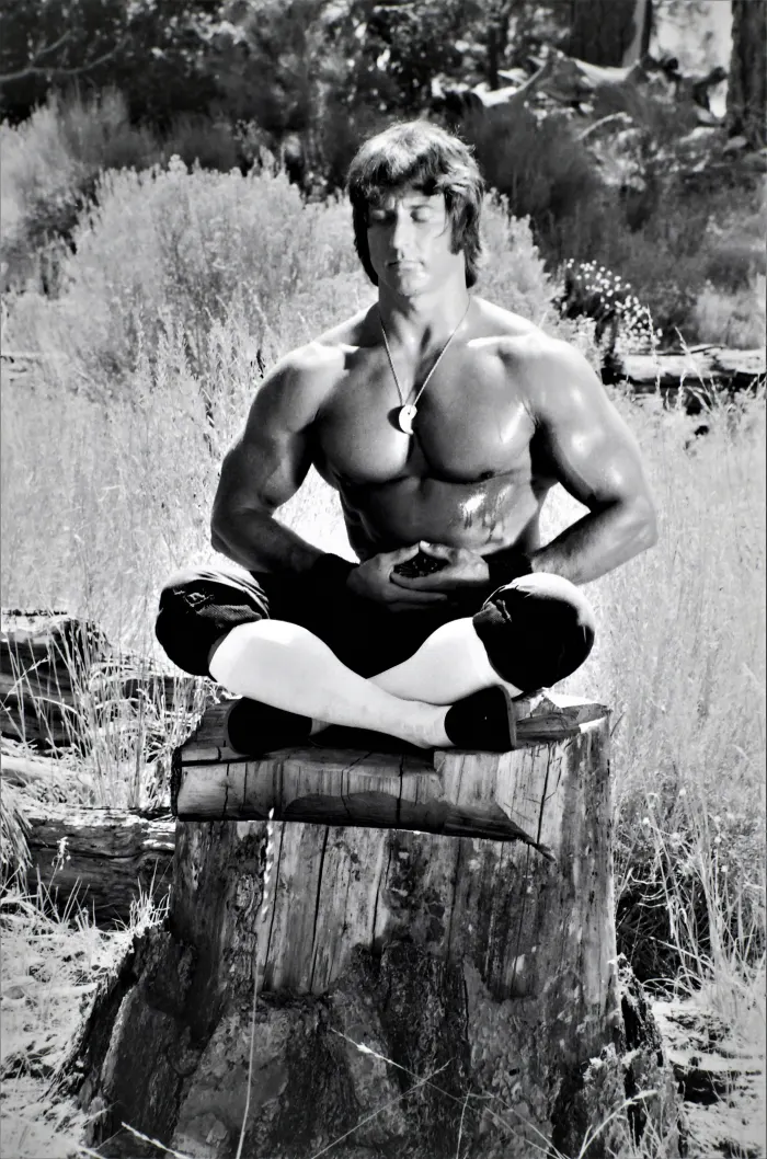 Frank seated in a meditative lotus pose atop a tree stump, eyes closed, capturing his Zen persona.