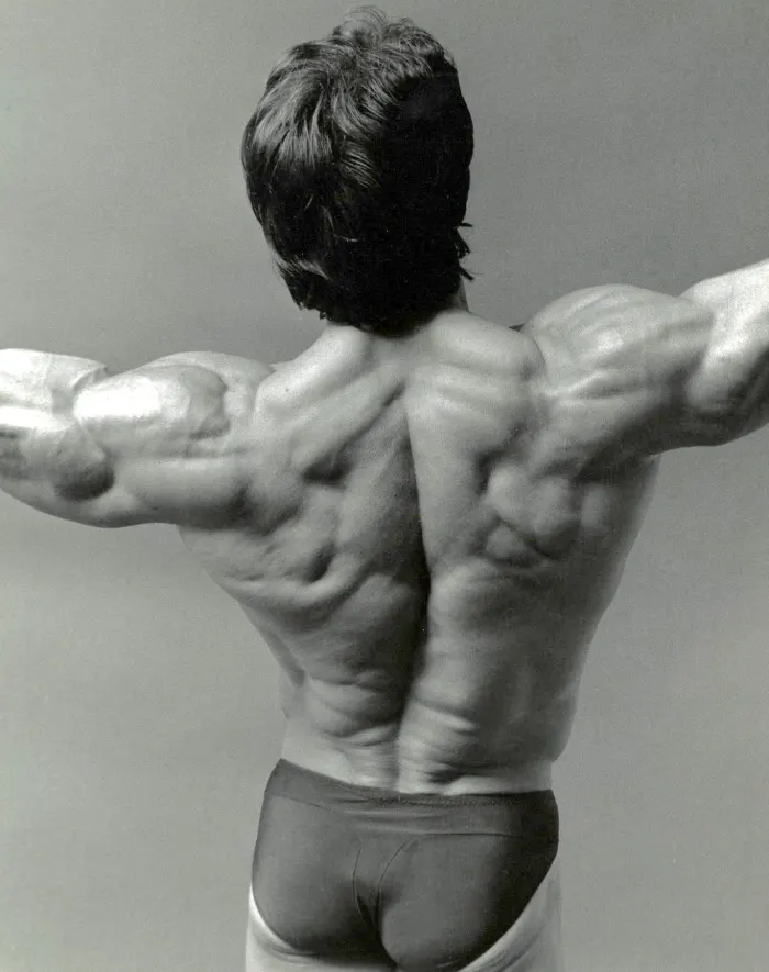 A dramatic high-contrast black-and-white back double-biceps shot, evidently used as an actual book back cover.