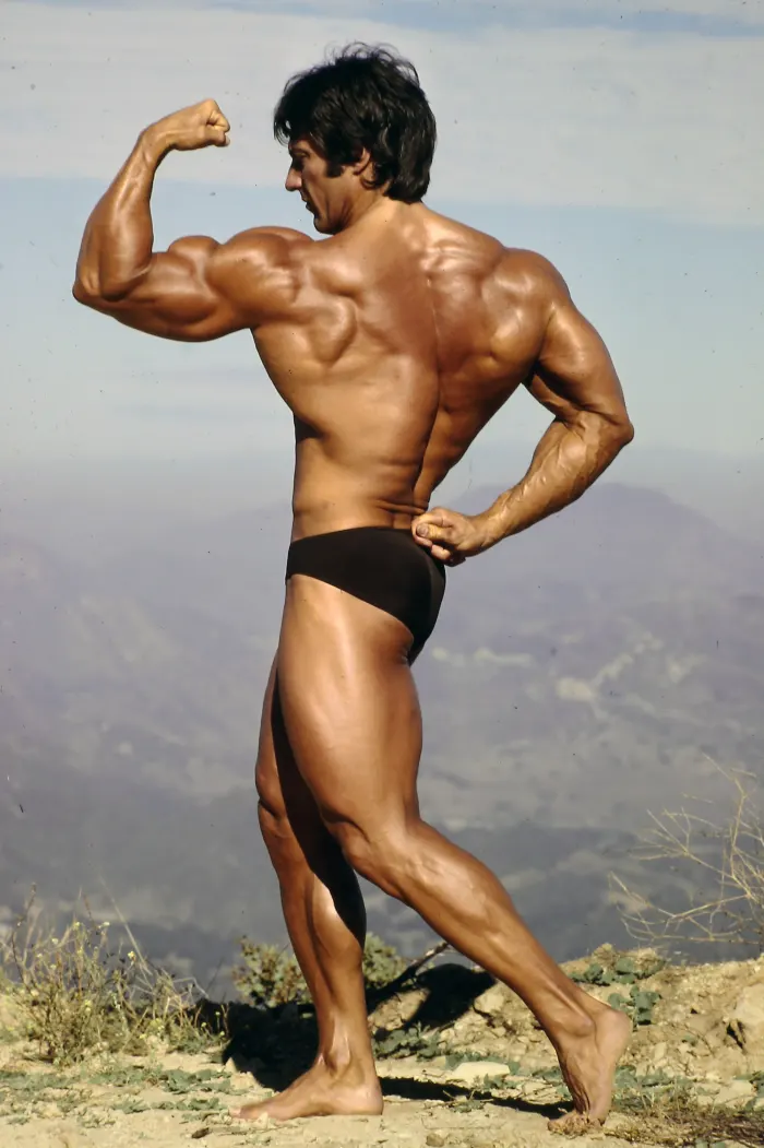 A back double-biceps pose on a mountaintop overlook with a sweeping scenic backdrop.